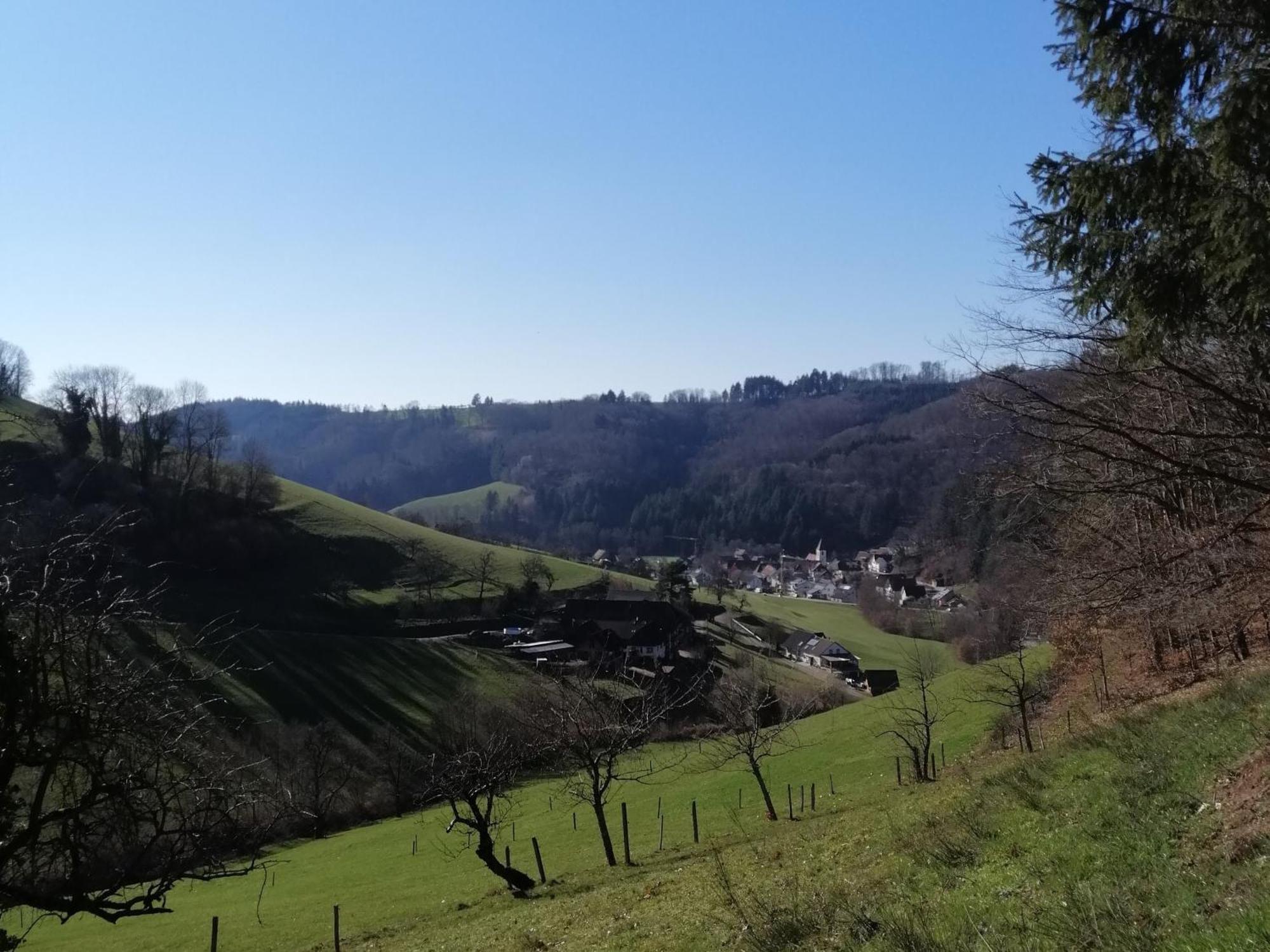 Ferienwohnung Am Spielberg Freiamt 外观 照片