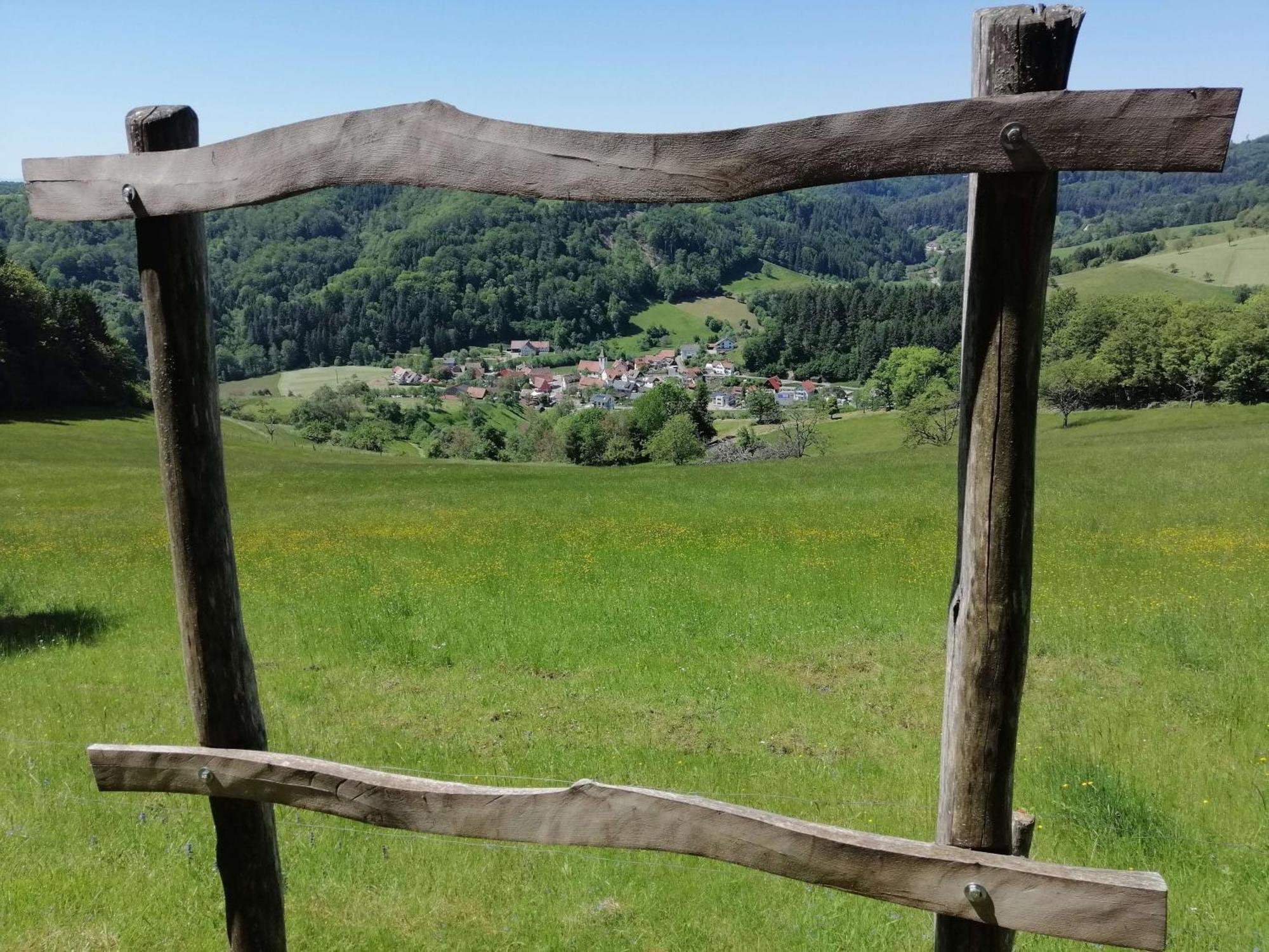 Ferienwohnung Am Spielberg Freiamt 外观 照片